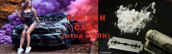 тгк Алексин