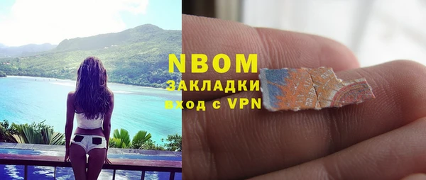 индика Алзамай