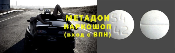 индика Алзамай