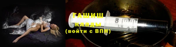 индика Алзамай