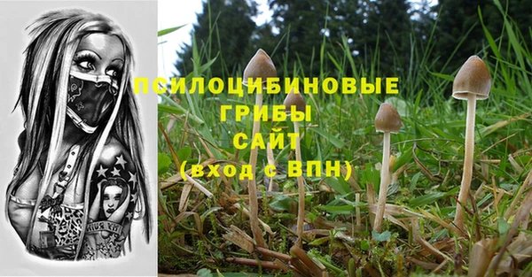 спиды Алексеевка