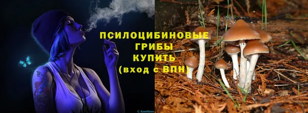 тгк Алексин