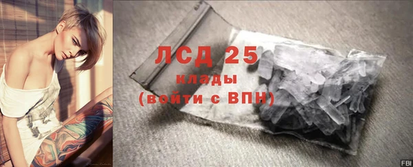 индика Алзамай