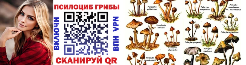 Псилоцибиновые грибы прущие грибы  MEGA онион  Новая Ляля 